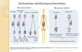 Adapté de :The microbial pharmacists within us: a metagenomic view of xenobiotic metabolism Elizabeth N. Bess, Rachel N. Carmody & Peter J. Turnbaugh
Nature Reviews Microbiology14,273–287(2016)
Pharmacologie Franck Rencurel 2020 13
Mécanisme direct Mécanisme indirect
Prodrogue
Métabolite
actif Drogue ou métabolite microbiote
métabolites
Métabolites modifiés
Par le microbiote
Métabolites produits
Par le microbiote
Altération du métabolisme de l’hôte
Intéractions xénobiotiques/microbiote
 