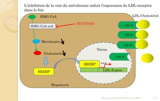 +++
Mevalonate
HMG-CoA
Cholesterol
STATINES
LDL-R gene
LDL-R
LDL-R
LDL-R
LDL-R
Noyau
Hepatocyte
HMG-CoA red.
SREBP
Pharmacologie Franck Rencurel 2020 133
LDL-Cholestérol
SREBP
L’inhibition de la voie du mévalonate induit l’expression du LDL-receptor
dans le foie
 