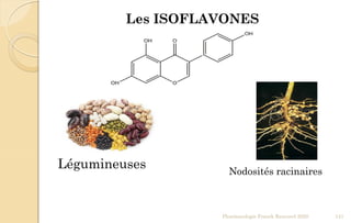 Les ISOFLAVONES
Légumineuses Nodosités racinaires
Pharmacologie Franck Rencurel 2020 141
 