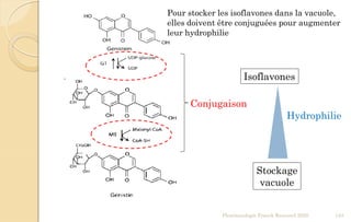 Pharmacologie Franck Rencurel 2020 143
Isoflavones
Stockage
vacuole
Hydrophilie
Conjugaison
Pour stocker les isoflavones dans la vacuole,
elles doivent être conjuguées pour augmenter
leur hydrophilie
 