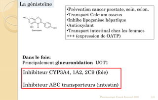 •Prévention cancer prostate, sein, colon.
•Transport Calcium osseux
•Inhibe lipogenèse hépatique
•Antioxydant
•Transport intestinal chez les femmes
+++ (expression de OATP)
Dans le foie:
Principalement glucuronidation UGT1
Pharmacologie Franck Rencurel 2020 145
Inhibiteur CYP3A4, 1A2, 2C9 (foie)
Inhibiteur ABC transporteurs (intestin)
La génisteïne
 