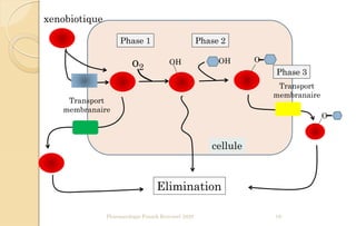 Pharmacologie Franck Rencurel 2020 19
OH OOH
O
Elimination
Phase 1 Phase 2
Phase 3
o2
xenobiotique
cellule
Transport
membranaire
Transport
membranaire
 
