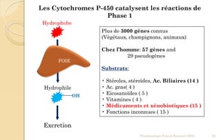 Les Cytochromes P-450 catalysent les réactions de
Phase 1
OH
Hydrophobe
Hydrophile
Plus de 3000 gènes connus
(Végétaux, champignons, animaux)
Chez l’homme: 57 gènes and
29 pseudogènes
Substrats:
• Stéroles, stéroïdes, Ac. Biliaires (14 )
• Ac. gras( 4 )
• Eicosanoïdes ( 5 )
• Vitamines ( 4 )
• Médicaments et xénobiotiques (15 )
• Fonctions inconnues ( 15 )
Excretion
Pharmacologie Franck Rencurel 2020 22
FOIE
 