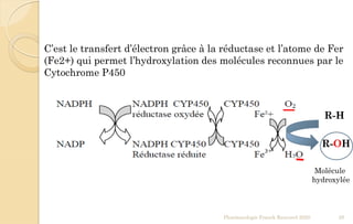Pharmacologie Franck Rencurel 2020 28
R-H
R-OH
C’est le transfert d’électron grâce à la réductase et l’atome de Fer
(Fe2+) qui permet l’hydroxylation des molécules reconnues par le
Cytochrome P450
Molécule
hydroxylée
 