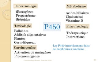 Métabolisme
Acides biliaires
Cholestérol
Vitamine D
Endocrinologie
Œstrogènes
Progestérone
Stéroïdes
Pharmacologie
Thérapeutique
Interactions
Carcinogenèse
Activation de mutagènes
Pro-carcinogènes
Toxicologie
Polluants
Additifs alimentaires
Plantes
Cosmétiques…
Pharmacologie Franck Rencurel 2020 29
P450
Les P450 interviennent dans
de nombreuses fonctions
 