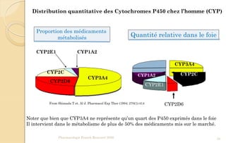 CYP3A4
CYP2D6
CYP2C
CYP2E1 CYP1A2
CYP3A4
CYP2CCYP1A2
CYP2E1
CYP2D6
Quantité relative dans le foie
From Shimada T et. Al J. Pharmacol Exp Ther (1994; 270(1):414
Proportion des médicaments
métabolisés
Pharmacologie Franck Rencurel 2020 35
Distribution quantitative des Cytochromes P450 chez l’homme (CYP)
Noter que bien que CYP3A4 ne représente qu’un quart des P450 exprimés dans le foie
Il intervient dans le métabolisme de plus de 50% des médicaments mis sur le marché.
 
