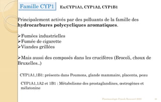 Famille CYP1 Ex:CYP1A1, CYP1A2, CYP1B1
Principalement activés par des polluants de la famille des
hydrocarbures polycycliques aromatiques.
Fumées industrielles
Fumée de cigarette
Viandes grillées
Mais aussi des composés dans les crucifères (Brocoli, choux de
Bruxelles..)
CYP1A1,1B1: présents dans Poumons, glande mammaire, placenta, peau
CYP1A1,1A2 et 1B1 : Métabolisme des prostaglandines, œstrogènes et
mélatonine
Pharmacologie Franck Rencurel 2020 38
 