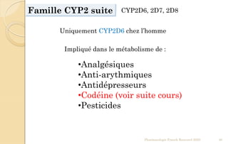 Famille CYP2 suite CYP2D6, 2D7, 2D8
Uniquement CYP2D6 chez l’homme
•Analgésiques
•Anti-arythmiques
•Antidépresseurs
•Codéine (voir suite cours)
•Pesticides
Pharmacologie Franck Rencurel 2020 40
Impliqué dans le métabolisme de :
 
