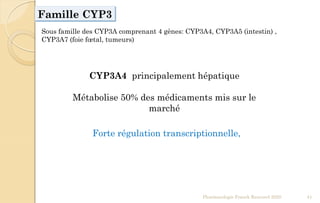 Famille CYP3
Sous famille des CYP3A comprenant 4 gènes: CYP3A4, CYP3A5 (intestin) ,
CYP3A7 (foie fœtal, tumeurs)
CYP3A4 principalement hépatique
Métabolise 50% des médicaments mis sur le
marché
Forte régulation transcriptionnelle,
Pharmacologie Franck Rencurel 2020 41
 