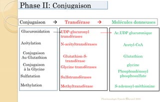 Phase II: Conjugaison
Pharmacologie Franck Rencurel 202044
Conjugaison  Transférase  Molécules donneuses
Glucuronidation UDP-glucuronyl
transférases
Ac.UDP glucuronique
Acétylation N-acétyltransférases Acetyl-CoA
Conjugaison
Au Glutathion Glutathion-S-
transférase
Glutathion
Conjugaison
à la Glycine
glycine
Glycine transférases
Sulfatation Sulfotransférases
Phosphoadénosyl
phosphosulfate
Methylation Methyltransférase S-adenosyl-méthionine
 