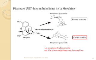 Pharmacologie Franck Rencurel 2020 46
Plusieurs UGT dans métabolisme de la Morphine
Forme inactive
Forme Active
La morphine-6-glucuronide
est 13x plus analgésique que la morphine
 