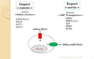 Import
« entrée »
Export
« sortie »
surtout
« Solute carriers »
Surtout
« ABC Transporters »
OATP B,C,8
NTCP
OCT 1
OAT 2
MDR1
MRP2,3,5,6
PgP
BSEP
BCRP
Noyau
Influx (SLC)
Efflux (ABC/SLC)
Pharmacologie Franck Rencurel 2020 54
 