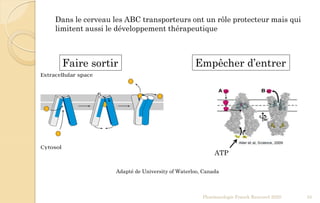 Pharmacologie Franck Rencurel 2020 55
ATP
Adapté de University of Waterloo, Canada
Faire sortir Empêcher d’entrer
Dans le cerveau les ABC transporteurs ont un rôle protecteur mais qui
limitent aussi le développement thérapeutique
 