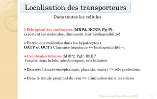 Localisation des transporteurs
Pharmacologie Franck Rencurel 2020 59
Dans toutes les cellules
Pôle apical des entérocytes (MRP2, BCRP, Pg-P) ,
exportent les molécules, diminuant leur biodisponibilité!
Entrée des molécules dans les hépatocytes (
OATP et OCT ) Clairance hépatique ++ biodisponibilité --.
Canalicules biliaires (MRP2, PgP, BSEP
l’export dans la bile, xénobiotiques, sels biliaires
Barrière hémato-encéphalique, placenta: export => rôle protecteur.
Dans le tubule proximal du rein => élimination dans les urines
 