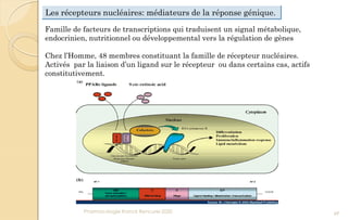 Les récepteurs nucléaires: médiateurs de la réponse génique.
Famille de facteurs de transcriptions qui traduisent un signal métabolique,
endocrinien, nutritionnel ou développemental vers la régulation de gènes
Chez l’Homme, 48 membres constituant la famille de récepteur nucléaires.
Activés par la liaison d’un ligand sur le récepteur ou dans certains cas, actifs
constitutivement.
Pharmacologie Franck Rencurel 2020 69
 