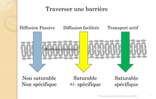 Traverser une barrière
Pharmacologie Franck Rencurel 2020 7
Diffusion facilitéeDiffusion Passive Transport actif
Non saturable
Non spécifique
Saturable
+/- spécifique
Saturable
spécifique
Membrane plasmique
 
