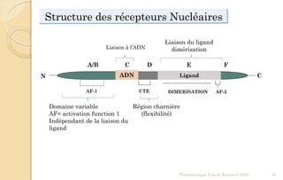 ADN Ligand
A/B C FD E
CN
AF-1 CTE DIMERISATION AF-2
Structure des récepteurs Nucléaires
Domaine variable
AF= activation function 1
Indépendant de la liaison du
ligand
Liaison à l’ADN
Région charnière
(flexibilité)
Liaison du ligand
dimérisation
Pharmacologie Franck Rencurel 2020 70
 