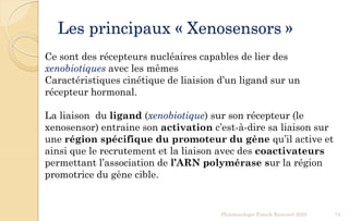 Pharmacologie Franck Rencurel 2020 74
Les principaux « Xenosensors »
Ce sont des récepteurs nucléaires capables de lier des
xenobiotiques avec les mêmes
Caractéristiques cinétique de liaision d’un ligand sur un
récepteur hormonal.
La liaison du ligand (xenobiotique) sur son récepteur (le
xenosensor) entraine son activation c’est-à-dire sa liaison sur
une région spécifique du promoteur du gène qu’il active et
ainsi que le recrutement et la liaison avec des coactivateurs
permettant l’association de l’ARN polymérase sur la région
promotrice du gène cible.
 