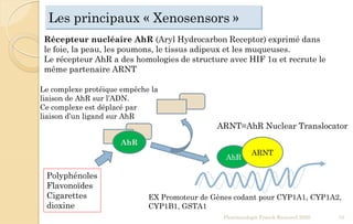 Les principaux « Xenosensors »
Pharmacologie Franck Rencurel 2020 75
AhR
Polyphénoles
Flavonoïdes
Cigarettes
dioxine
AhR
ARNT
ARNT=AhR Nuclear Translocator
EX Promoteur de Gènes codant pour CYP1A1, CYP1A2,
CYP1B1, GSTA1
Récepteur nucléaire AhR (Aryl Hydrocarbon Receptor) exprimé dans
le foie, la peau, les poumons, le tissus adipeux et les muqueuses.
Le récepteur AhR a des homologies de structure avec HIF 1a et recrute le
même partenaire ARNT
Le complexe protéique empêche la
liaison de AhR sur l’ADN.
Ce complexe est déplacé par
liaison d’un ligand sur AhR
 