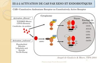 III-2-2 ACTIVATION DE CAR PAR XENO ET ENDOBIOTIQUES
Pharmacologie Franck Rencurel 2020
77
hsp90
CAR
CCRP
hsp90
CAR
CCRP
PP-2A
CAR RXR
COACT
CAR-RE
CAR RXR
COACT
CAR-RE
+
+
?
UGTs
SULTs
CYPs
GSTs
MRPs
OATPs
TCPOBOP (Murin)
CITCO (Humain)
Activation „Directe“
Activation „indirecte“
Phenobarbital
Bilirubin
Lithocholic acid
Steroids
Yin Zhi Huang
AMPK?
Asapté de Goodwin & Moore, TIPS 2004
Noyau
Cytoplasme
CAR= Constitutive Androstane Receptor ou Constitutively Active Receptor
2 molécules de synthèse
Exemple de
gènes cibles
 