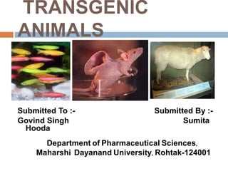 TRANSGENIC
ANIMALS
Submitted To :- Submitted By :-
Govind Singh Sumita
Hooda
Department of Pharmaceutical Sciences,
Maharshi Dayanand University, Rohtak-124001
 