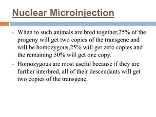 Nuclear Microinjection
 When to such animals are bred together,25% of the
progeny will get two copies of the transgene and
will be homozygous,25% will get zero copies and
the remaining 50% will get one copy.
 Homozygous are most useful because if they are
further interbred, all of their descendants will get
two copies of the transgene.
 