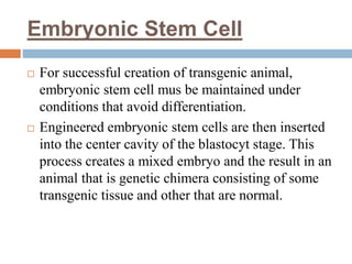 Embryonic Stem Cell
 For successful creation of transgenic animal,
embryonic stem cell mus be maintained under
conditions that avoid differentiation.
 Engineered embryonic stem cells are then inserted
into the center cavity of the blastocyt stage. This
process creates a mixed embryo and the result in an
animal that is genetic chimera consisting of some
transgenic tissue and other that are normal.
 