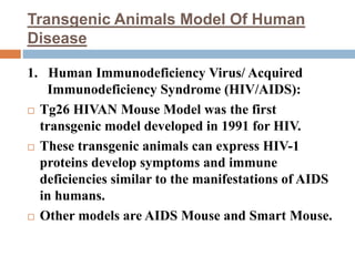 Transgenic Animals Model Of Human
Disease
1. Human Immunodeficiency Virus/ Acquired
Immunodeficiency Syndrome (HIV/AIDS):
 Tg26 HIVAN Mouse Model was the first
transgenic model developed in 1991 for HIV.
 These transgenic animals can express HIV-1
proteins develop symptoms and immune
deficiencies similar to the manifestations of AIDS
in humans.
 Other models are AIDS Mouse and Smart Mouse.
 