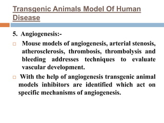 Transgenic Animals Model Of Human
Disease
5. Angiogenesis:-
 Mouse models of angiogenesis, arterial stenosis,
atherosclerosis, thrombosis, thrombolysis and
bleeding addresses techniques to evaluate
vascular development.
 With the help of angiogenesis transgenic animal
models inhibitors are identified which act on
specific mechanisms of angiogenesis.
 