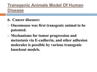 Transgenic Animals Model Of Human
Disease
6. Cancer diseases:
 Oncomouse was first transgenic animal to be
patented.
 Mechanisms for tumor progression and
metastasis via E-cadherin, and other adhesion
molecules is possible by various transgenic
knockout models.
 