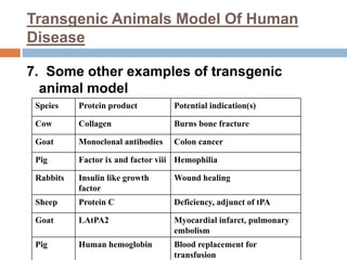 Transgenic Animals Model Of Human
Disease
7. Some other examples of transgenic
animal model
Speies Protein product Potential indication(s)
Cow Collagen Burns bone fracture
Goat Monoclonal antibodies Colon cancer
Pig Factor ix and factor viii Hemophilia
Rabbits Insulin like growth
factor
Wound healing
Sheep Protein C Deficiency, adjunct of tPA
Goat LAtPA2 Myocardial infarct, pulmonary
embolism
Pig Human hemoglobin Blood replacement for
transfusion
 