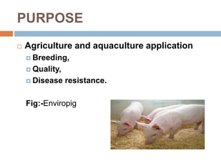 PURPOSE
 Agriculture and aquaculture application
 Breeding,
 Quality,
 Disease resistance.
Fig:-Enviropig
 