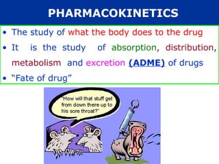 • The study of what the body does to the drug
• It is the study of absorption, distribution,
metabolism and excretion (ADME) of drugs
• “Fate of drug”
PHARMACOKINETICS
 