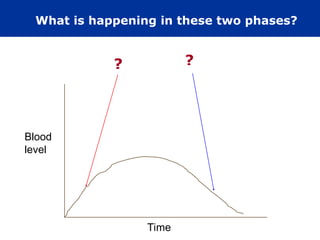 What is happening in these two phases?
Time
Blood
level
? ?
 