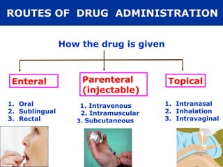 ROUTES OF DRUG ADMINISTRATION


                How the drug is given



 Enteral            Parenteral          Topical
                    (injectable)
1. Oral             1. Intravenous     1. Intranasal
2. Sublingual       2. Intramuscular   2. Inhalation
3. Rectal          3. Subcutaneous     3. Intravaginal
 