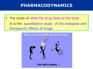 PHARMACODYNAMICS


• The study of what the drug does to the body
• It is the quantitative study of the biological and
  therapeutic effects of drugs.
 