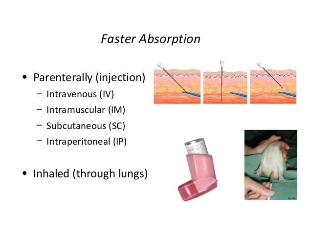 Ivomec pour on 10ml