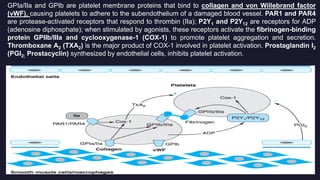 Anticoagulants: Advance Pharmacology | PPTX