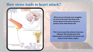 How stress leads to heart attack?
This in turn causes the arteries to become
inflamed. We already know that
inflammation is involved in the process that
leads to heart attack, angina.
When you are stressed, your amygdala
(an area of the brain that deals with
stress) signals to the bone marrow to
produce extra white blood cells.
 