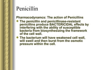 Penicillin Pharmacodynamcs: The action of Penicillins The penicillin and penicillinase-resistant penicillins produce BACTERICIDAL effects by interfering with the ability of susceptible bacteria from biosynthesizing the framework of the cell wall.  The bacterium will have weakened cell wall, will swell and then burst from the osmotic pressure within the cell.  