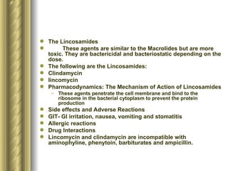 The Lincosamides These agents are similar to the Macrolides but are more toxic. They are bactericidal and bacteriostatic depending on the dose.  The following are the Lincosamides: Clindamycin lincomycin Pharmacodynamics: The Mechanism of Action of Lincosamides These agents penetrate the cell membrane and bind to the ribosome in the bacterial cytoplasm to prevent the protein production Side effects and Adverse Reactions GIT- GI irritation, nausea, vomiting and stomatitis Allergic reactions Drug Interactions Lincomycin and clindamycin are incompatible with aminophyline, phenytoin, barbiturates and ampicillin.  