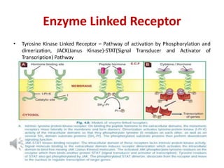 Pharmacology a subject of interest | PPTX