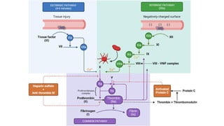 Pharmacology -II Unit-II Pharmacology of Drugs Acting on Cardio ...