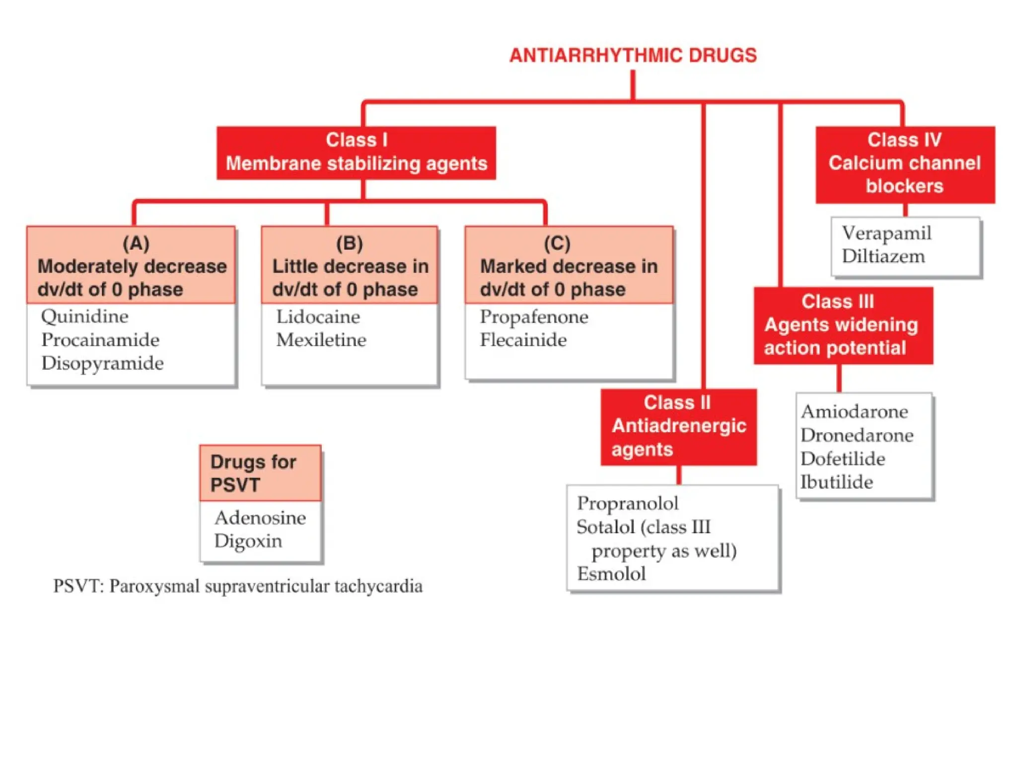 Pharmacology-II Unit-I. Pharmacology of Drugs Acting on Cardio Vascular ...