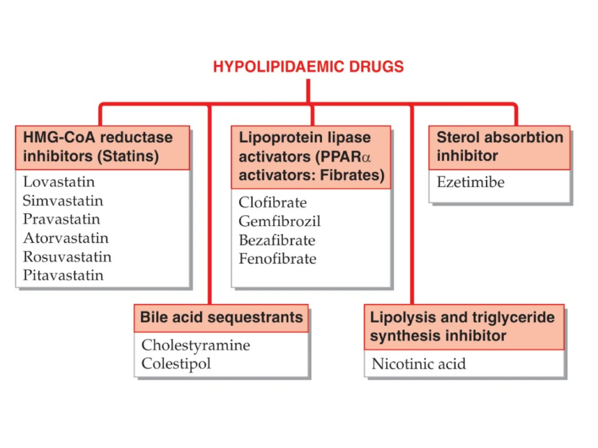 Pharmacology-II Unit-I. Pharmacology of Drugs Acting on Cardio Vascular ...
