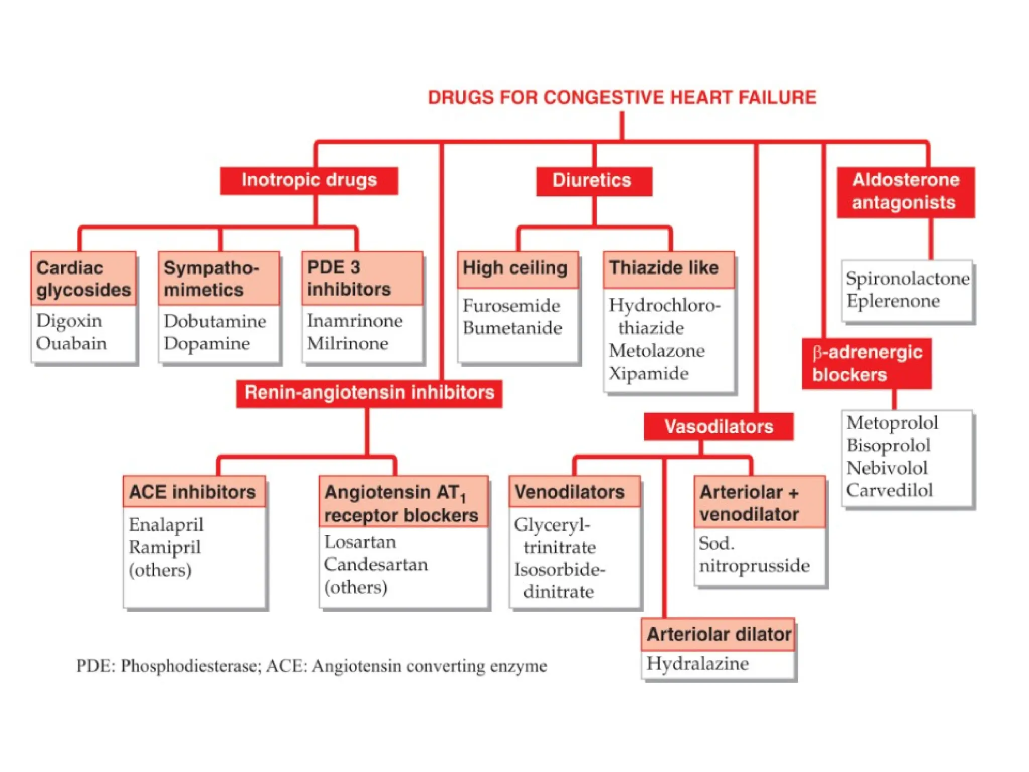 Pharmacology-II Unit-I. Pharmacology of Drugs Acting on Cardio Vascular ...