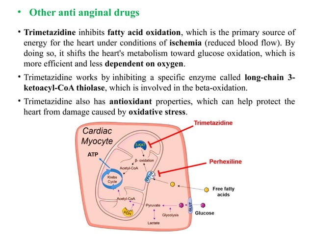 Pharmacology-II Unit-I. Pharmacology of Drugs Acting on Cardio Vascular ...