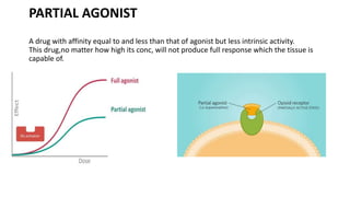 PARTIAL AGONIST
A drug with affinity equal to and less than that of agonist but less intrinsic activity.
This drug,no matter how high its conc, will not produce full response which the tissue is
capable of.
 