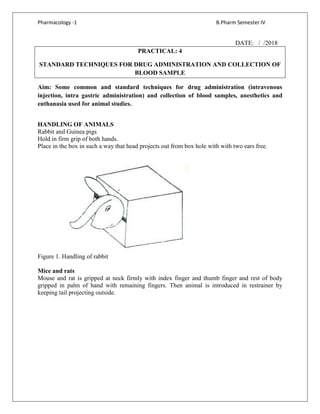 Pharmacology -1 B.Pharm Semester IV
DATE: / /2018
PRACTICAL: 4
STANDARD TECHNIQUES FOR DRUG ADMINISTRATION AND COLLECTION OF
BLOOD SAMPLE
Aim: Some common and standard techniques for drug administration (intravenous
injection, intra gastric administration) and collection of blood samples, anesthetics and
euthanasia used for animal studies.
HANDLING OF ANIMALS
Rabbit and Guinea pigs
Hold in firm grip of both hands.
Place in the box in such a way that head projects out from box hole with with two ears free.
Figure 1. Handling of rabbit
Mice and rats
Mouse and rat is gripped at neck firmly with index finger and thumb finger and rest of body
gripped in palm of hand with remaining fingers. Then animal is introduced in restrainer by
keeping tail projecting outside.
 