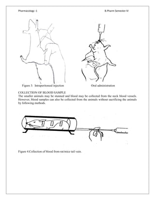 Pharmacology -1 B.Pharm Semester IV
Figure 3: Intraperitoneal injection Oral administration
COLLECTION OF BLOOD SAMPLE
The smaller animals may be stunned and blood may be collected from the neck blood vessels.
However, blood samples can also be collected from the animals without sacrificing the animals
by following methods.
Figure 4.Collection of blood from rat/mice tail vain.
 
